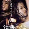 [B008616C5M] 復讐の絆 Revenge: A Love Story [DVD]